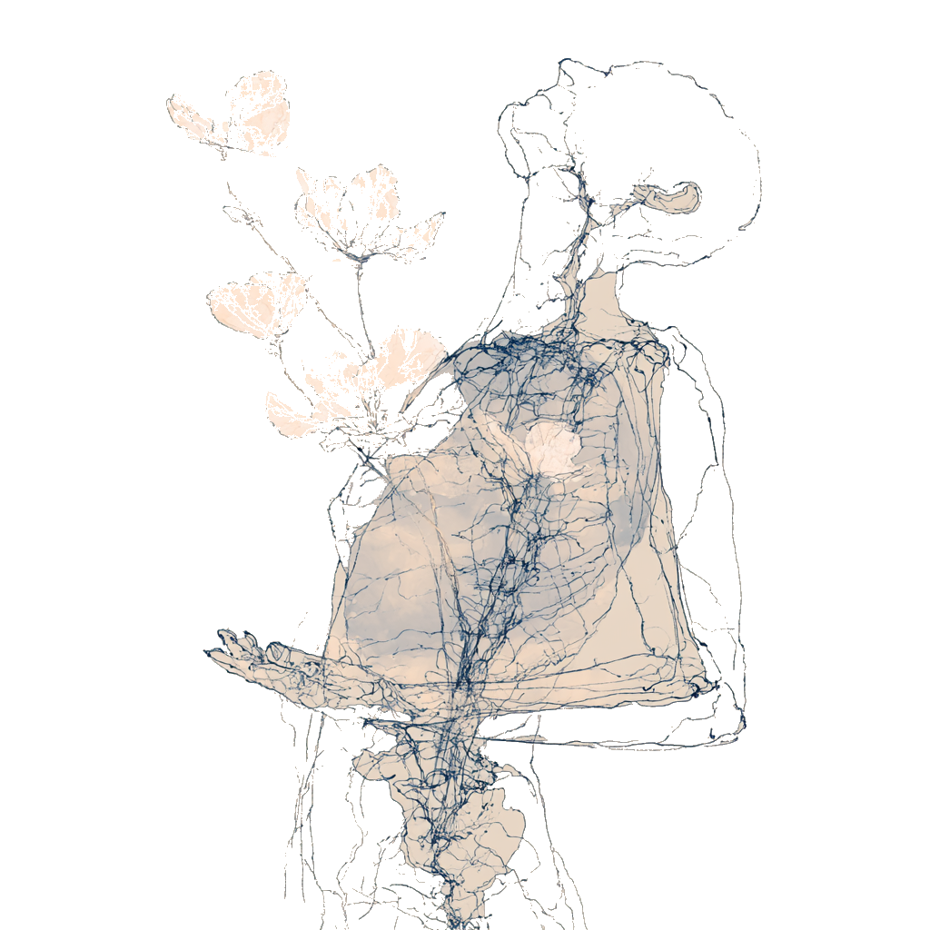 A gestural line drawing of two hands gently cradling space — the craniosacral hold
