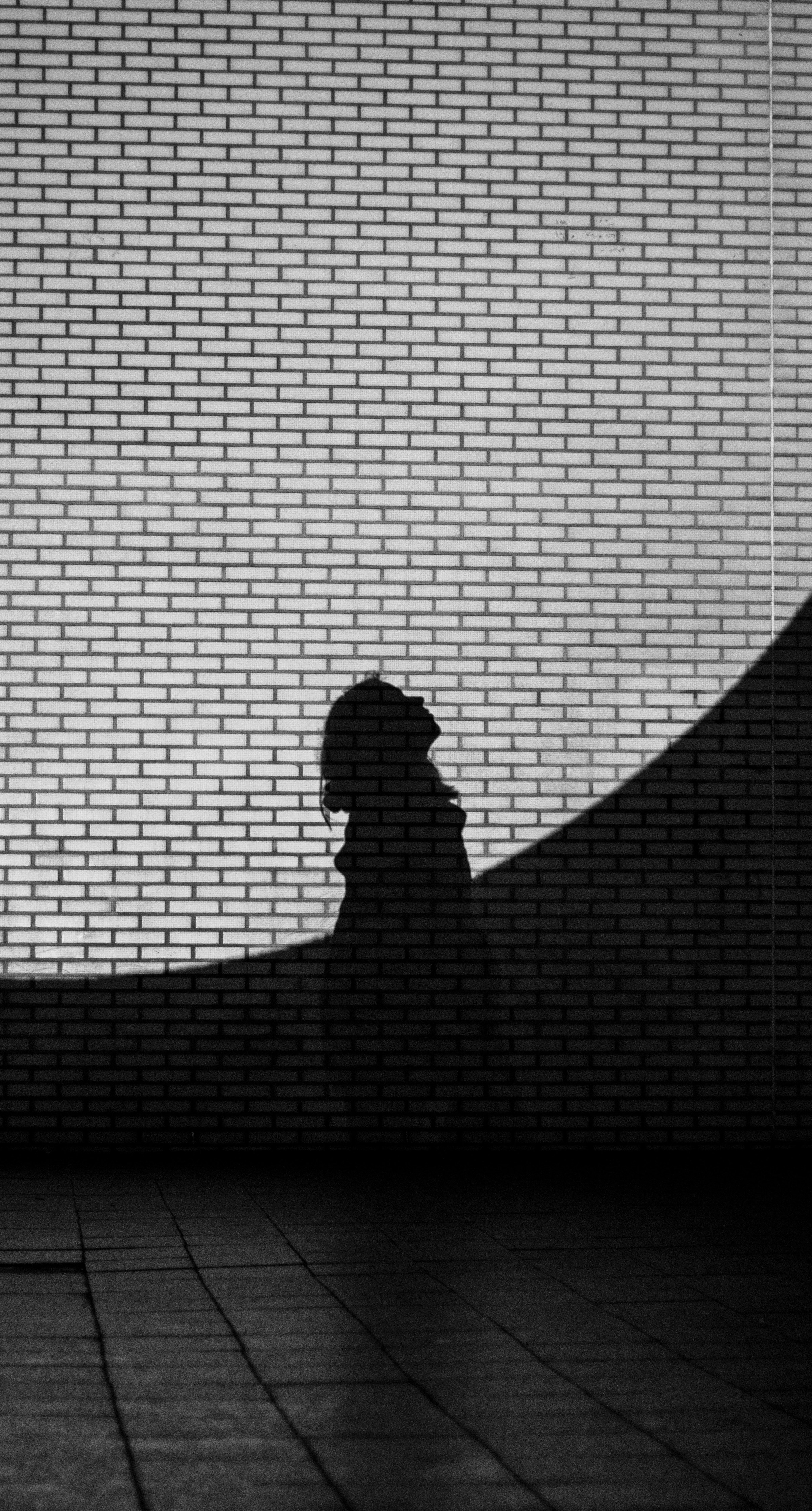 Soma Speak — online somatic sessions