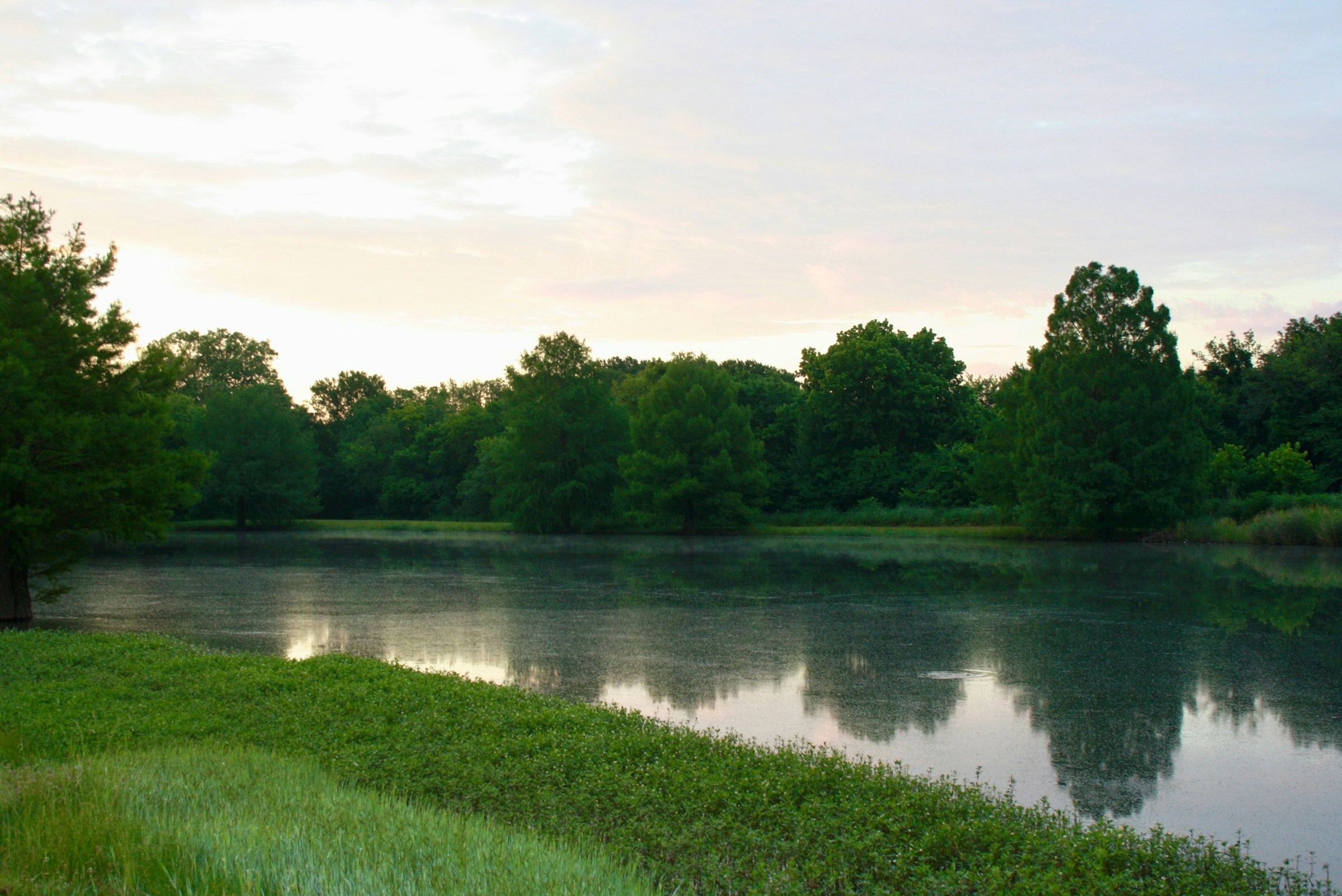 A still pond at dawn, The Listening