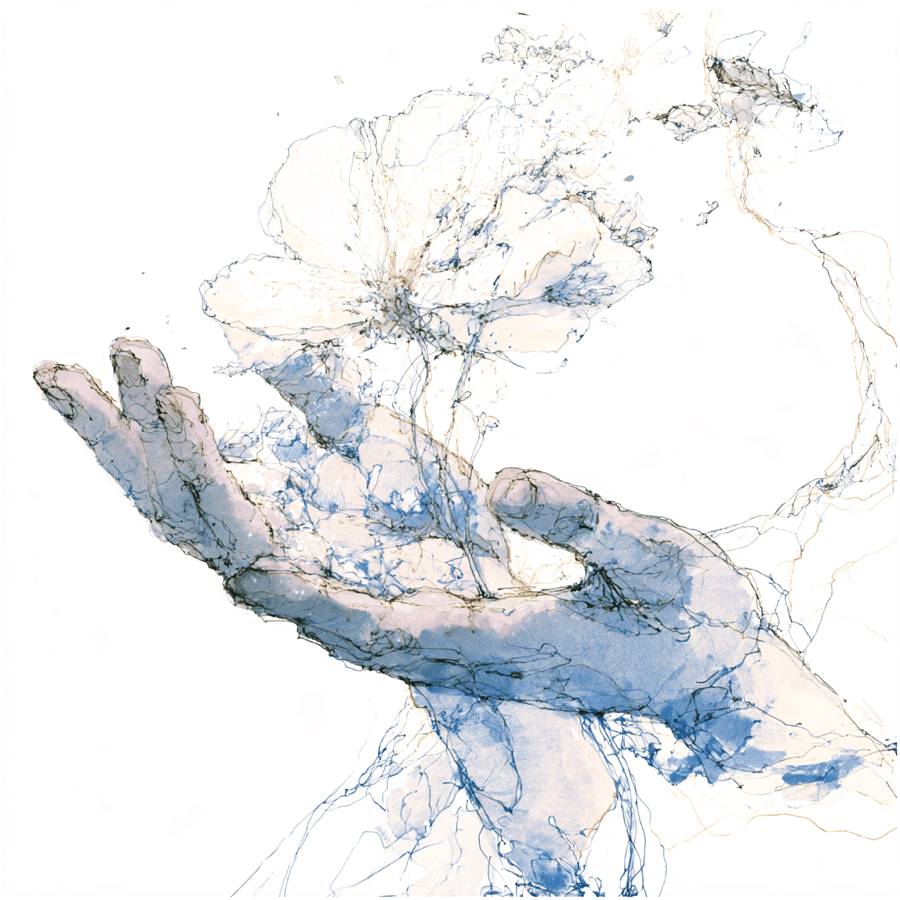 An ink and watercolour drawing of an open hand with flowers rising from it